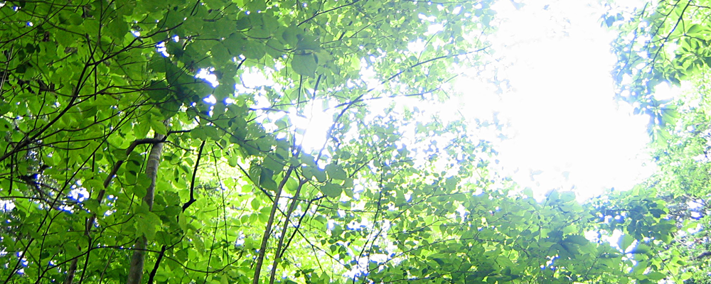 山屋物産株式会社 採用情報