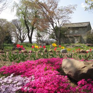 ブログをアップしました！